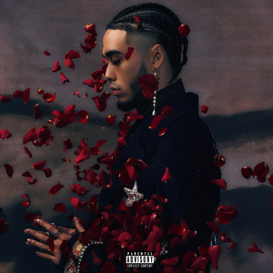 美女大🐻300%裸体
